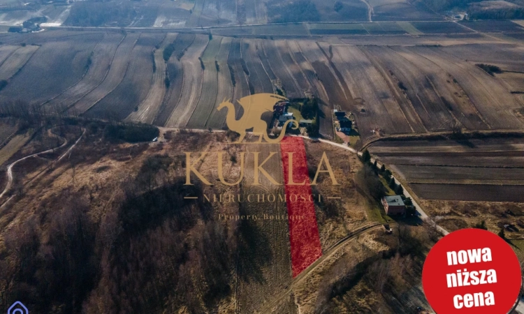 Działka budowlano-rolna w Proszowicach | Zdjęcie główne