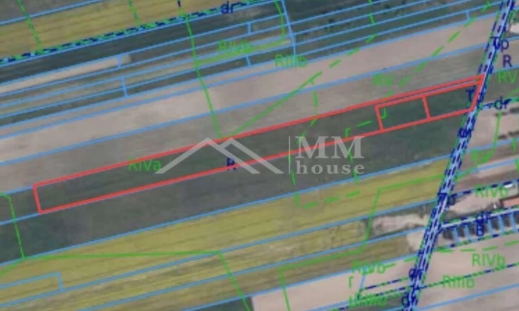 Działka w Janczewicach pod zabudowę jednorodzinną | Zdjęcie główne