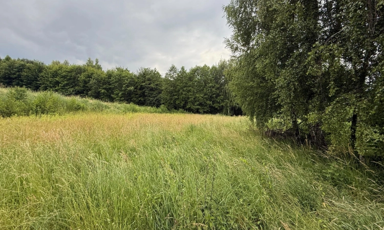 Działka budowlana w Pawlikowicach na sprzedaż! | Zdjęcie główne