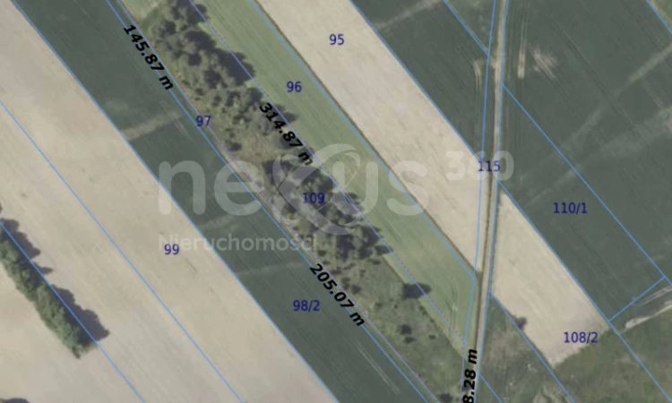 Działka rolno-budowlana z WZ | Zdjęcie główne