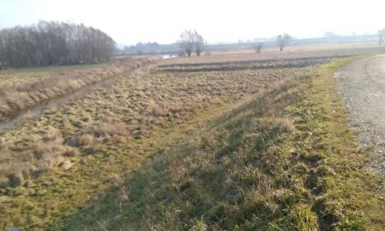 Cztery działki rolne | Zdjęcie główne