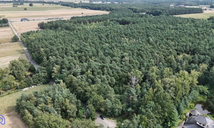 Las na sprzedaż - Koźlątków, gm. Lisków | Zdjęcie główne