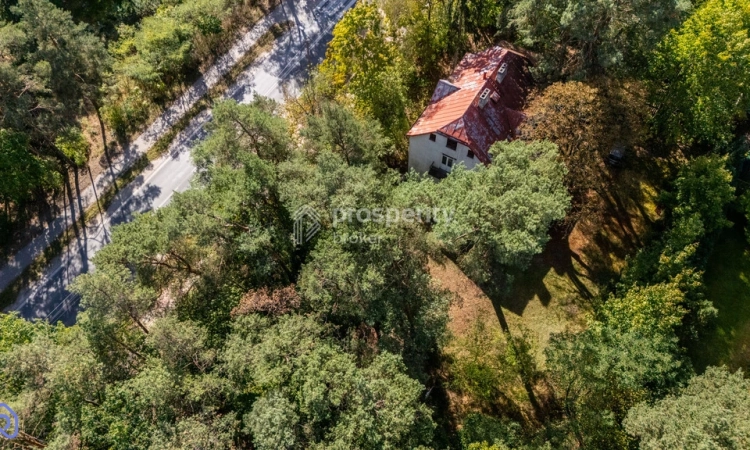 Duża działka ze starodrzewiem i domem w Józefowie | Zdjęcie główne