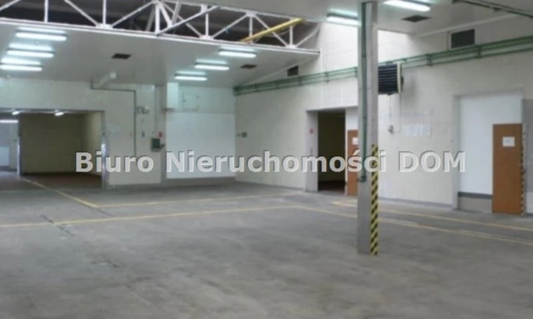 hala do wynajęcia | Zdjęcie główne