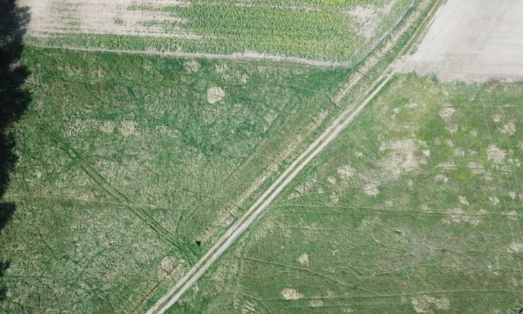 Działka Rolna (3000 m2) 2 km od Wrocławia (Pruszowice) | Zdjęcie główne