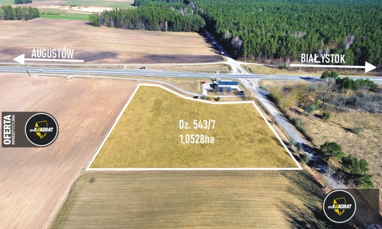 Działka, Cisów | Zdjęcie główne