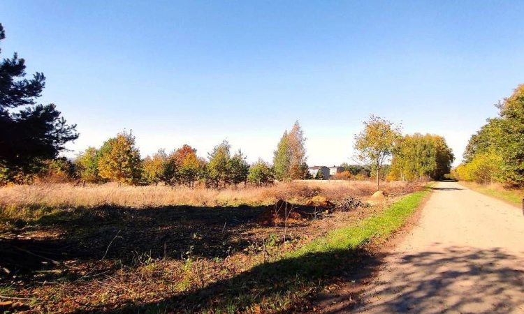 Atrakcyjna działka budowlana Rogoźnik | Zdjęcie główne