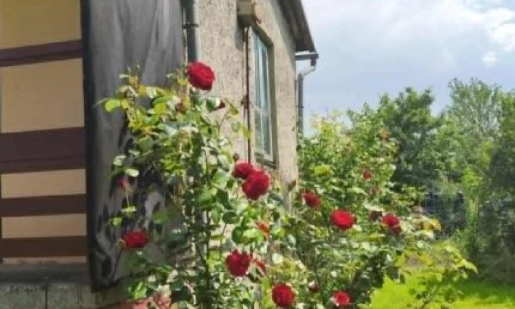 ROD "Strumyk" Tarnów | Zdjęcie główne