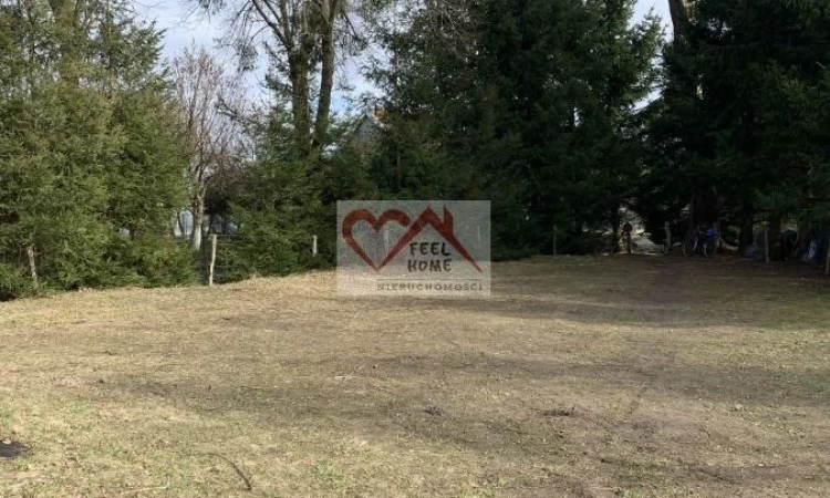 DRWĘCZNO - DZIAŁKA MIESZKALNO-USŁUGOWA O POW. 2277 | Zdjęcie główne