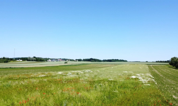 Kliknij mnie :)) | Zdjęcie główne