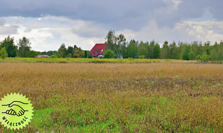 Działki rolne na sprzedaż w obrębie Gałowa | Zdjęcie główne