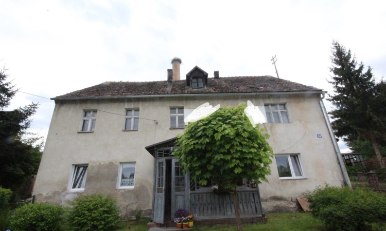 4pok, 85met, okolice Ziębic PIWNICA/GARAŻ/OGRÓD 2600m2 (Starczówek) | Zdjęcie główne