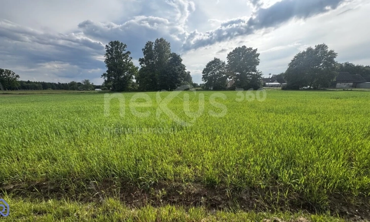 Przestrzeń i spokój - 3 hektary oazy dla Ciebie | Zdjęcie główne