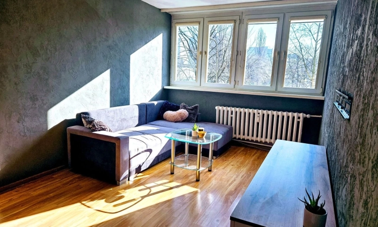 2pok, 39met, Okolice Placu Jana Pawła II PIWNICA/WINDA (Wrocław) | Zdjęcie główne