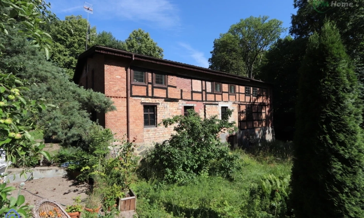 1,4 ha ziemi, dom Młyński -  Piękne tereny ! | Zdjęcie główne
