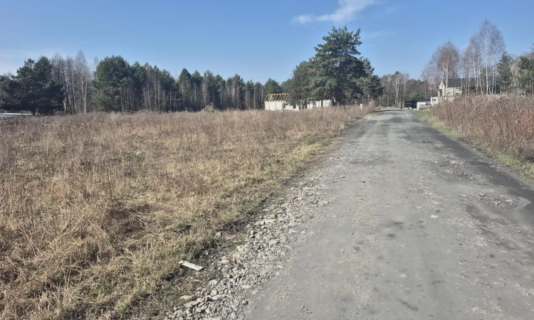 została tylko jedna, wz, prąd, lasy i droga gminna | Zdjęcie główne