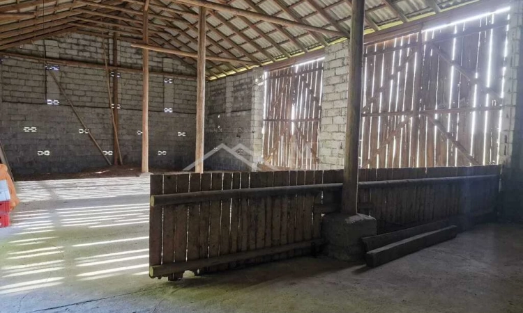 Działka budowlana z budynkiem gospodarczym | Zdjęcie główne