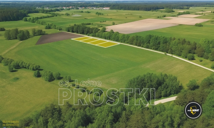 Działka, Prostki | Zdjęcie główne