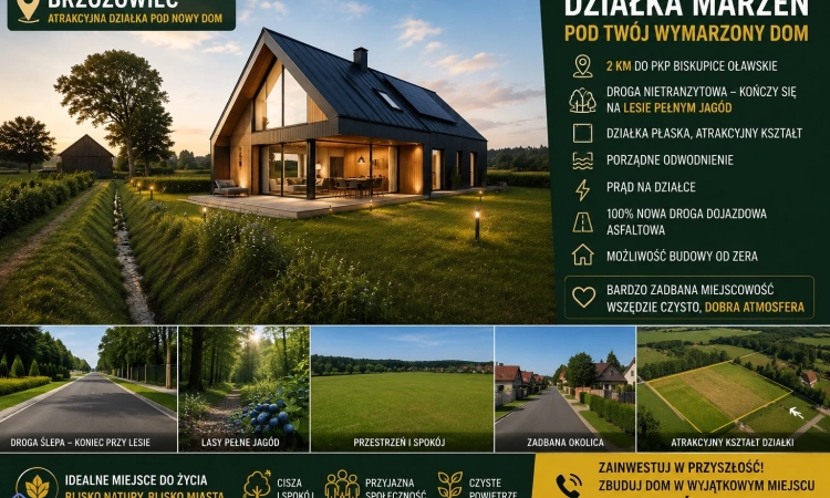 Działka Budowlana (2000 m2) MEDIA (Brzozowiec) | Zdjęcie główne
