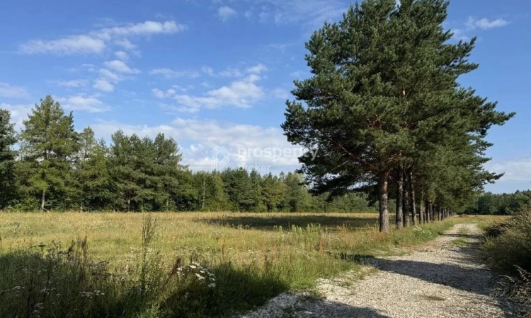 Działki budowlane Piskórka | Zdjęcie główne