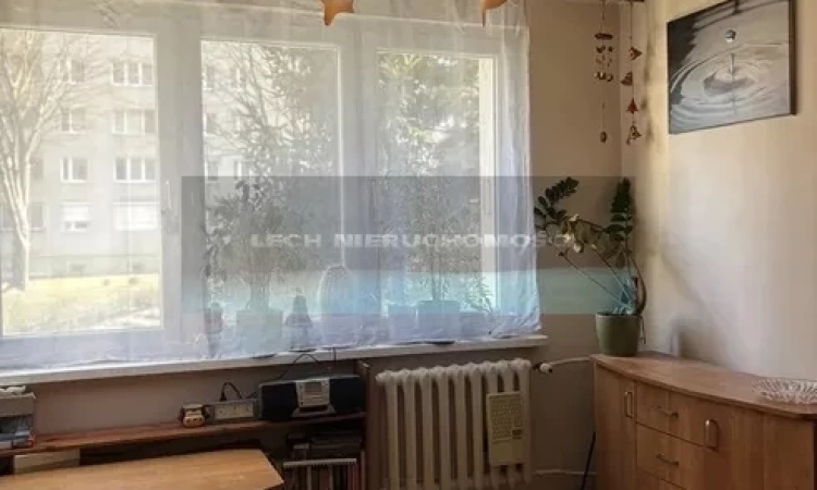 Stan prawny gruntu uregulowany. Możliwy kredyt. | Zdjęcie główne