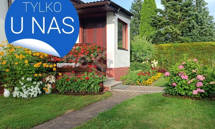 5 pok. 83.00 m2 Międzybórz | Zdjęcie główne