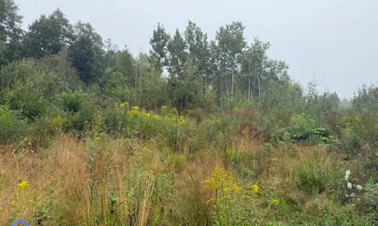 Działka budowlana o pow. 1474 m2 Kady Brzózki | Zdjęcie główne