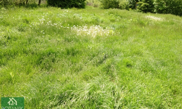 Działka inwestycyjna | Zdjęcie główne