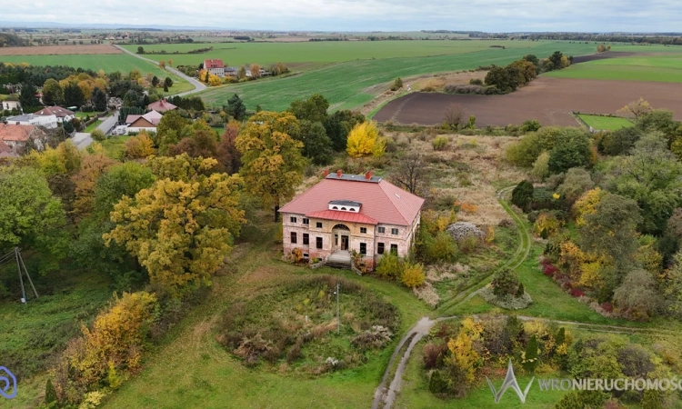 Stylowy pałac z 1840 roku| 40 km od Wrocławia! | Zdjęcie główne
