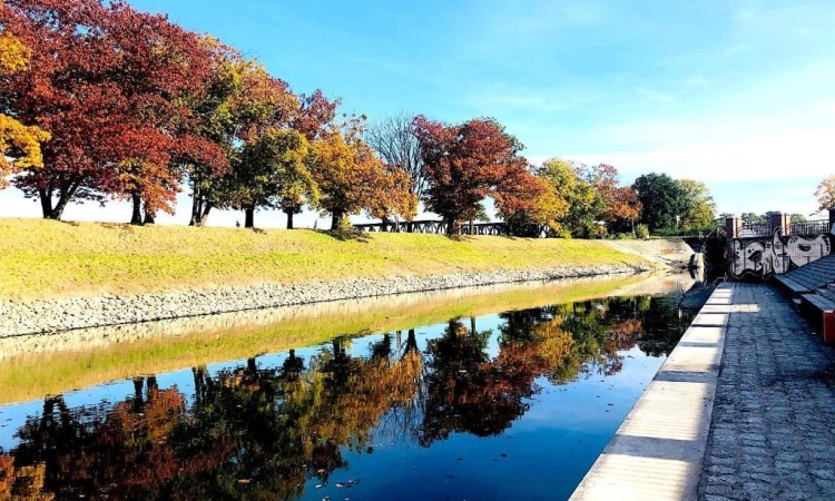 2pok, 48met, al. Marcina Kromera PIWNICA/PARKING (Wrocław) | Zdjęcie główne