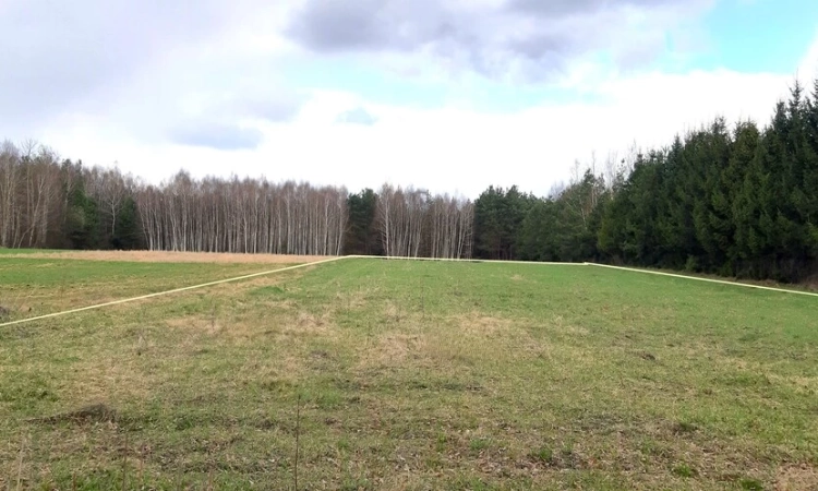 2 działki, przy lesie, blisko Hańczy. | Zdjęcie główne