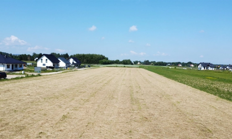 Działka, Dębno | Zdjęcie główne