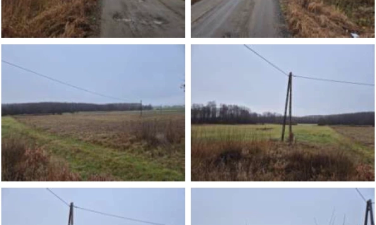 Syndyk sprzeda nieruchomość gruntową | Zdjęcie główne