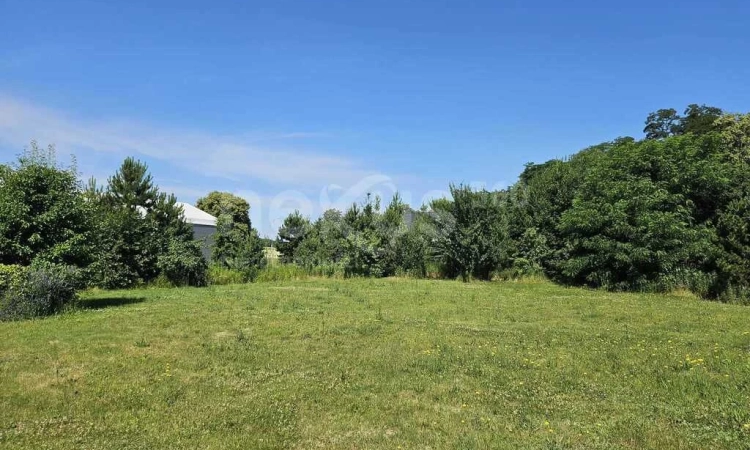 Krzeczyn - działka otoczona zielenią | Zdjęcie główne