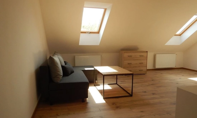 2pok, 50met, okolice Świeradowskiej 2024 (Wrocław) | Zdjęcie główne