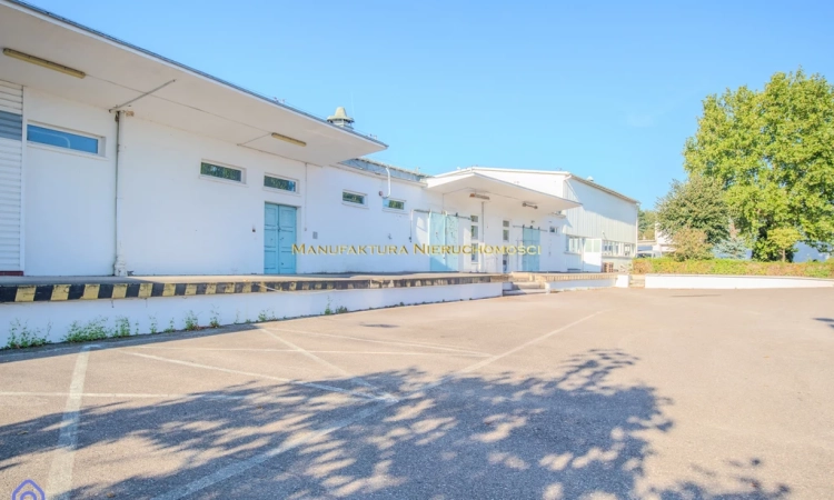 Topowa lokalizacja - długi najem, opcja pierwokupu | Zdjęcie główne