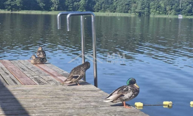 Działka nad jeziorem Ruda Woda- Wilamowo. | Zdjęcie główne