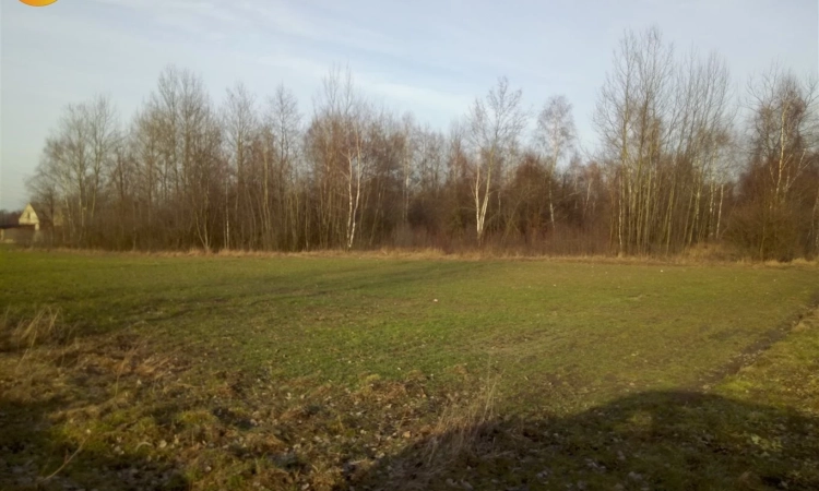 ŚWIETNA INWESTYCJA | Zdjęcie główne