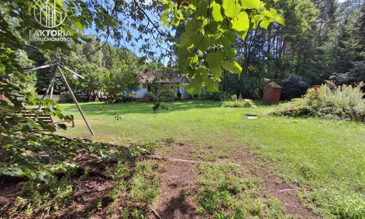 Siedlisko z domem i lasem, Gajowniki | Zdjęcie główne