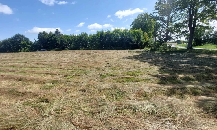 Działka Budowlana (3000 m2) MEDIA (Kukułowo) | Zdjęcie główne