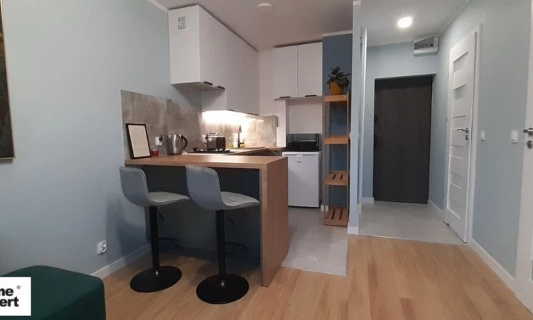 2pok, 28met, okolice Petuniego PO REMONCIE/PARKING (Wrocław) | Zdjęcie główne