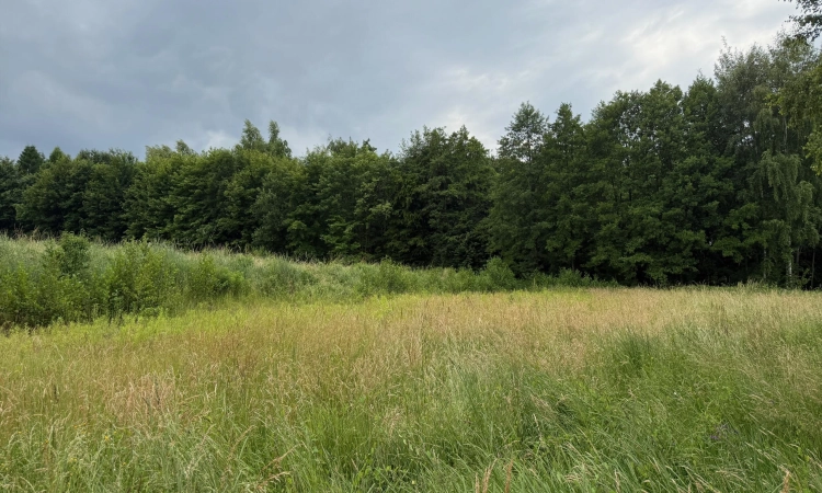 Działka budowlana w Pawlikowicach na sprzedaż! | Zdjęcie główne