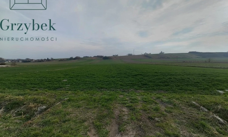 Racaławice 16 arów, płaska | Zdjęcie główne