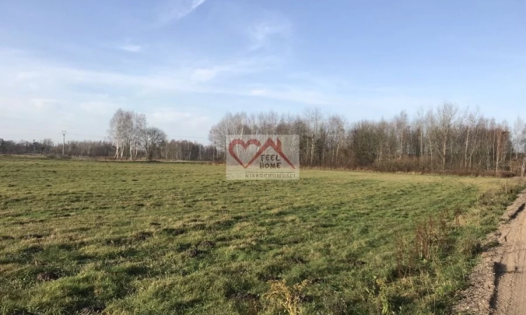 ORNETA UL. KRZYKAŁY - DZIAŁKI BUDOWLANE 2000 M2, P | Zdjęcie główne