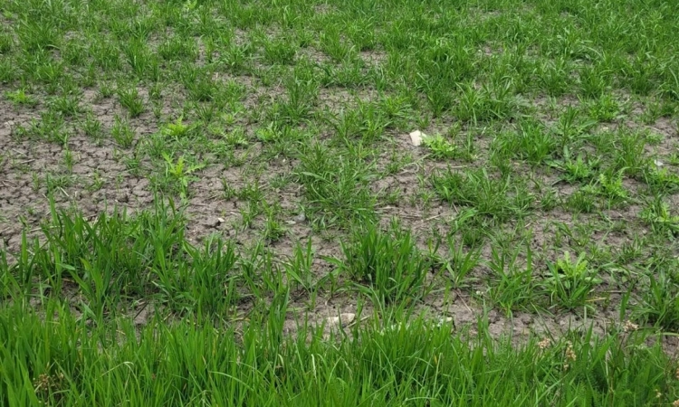 Świetna inwestycja | Zdjęcie główne