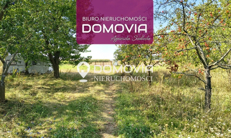 Działka budowlana 32 ary Stabrów pod Zamościem | Zdjęcie główne