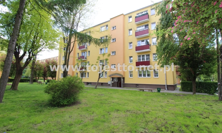 Pokój z aneksem + dwa pokoje na Polnej | Zdjęcie główne