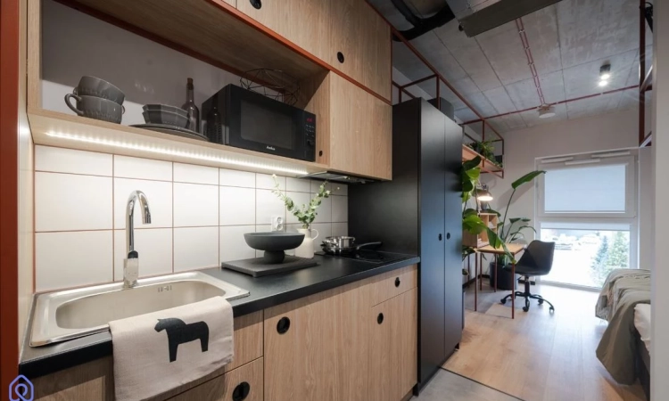 1pok, 21met, Okolice Babimojskiej WINDA/2023 (Wrocław) | Zdjęcie główne