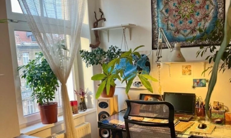 2pok, 41met, Okolice Parku Tołpy ANTRESOLA/PIWNICA (Wrocław) | Zdjęcie główne