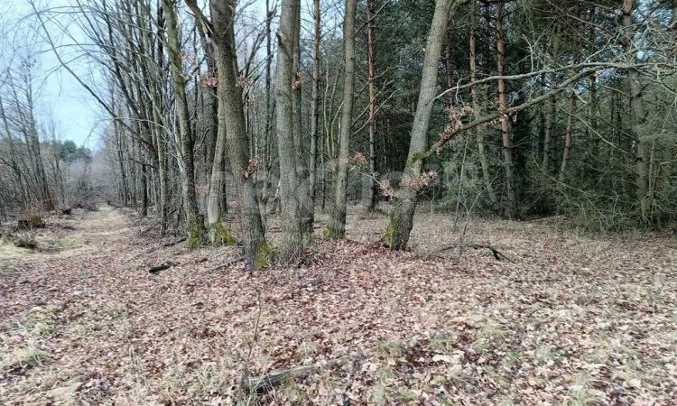 Atrakcyjny teren do zabudowy mieszkalnej | Zdjęcie główne